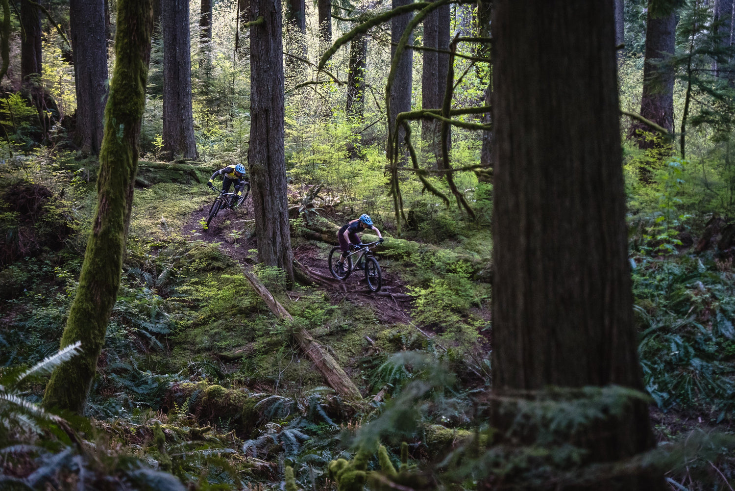 e-Bike & Fahrrad SALE