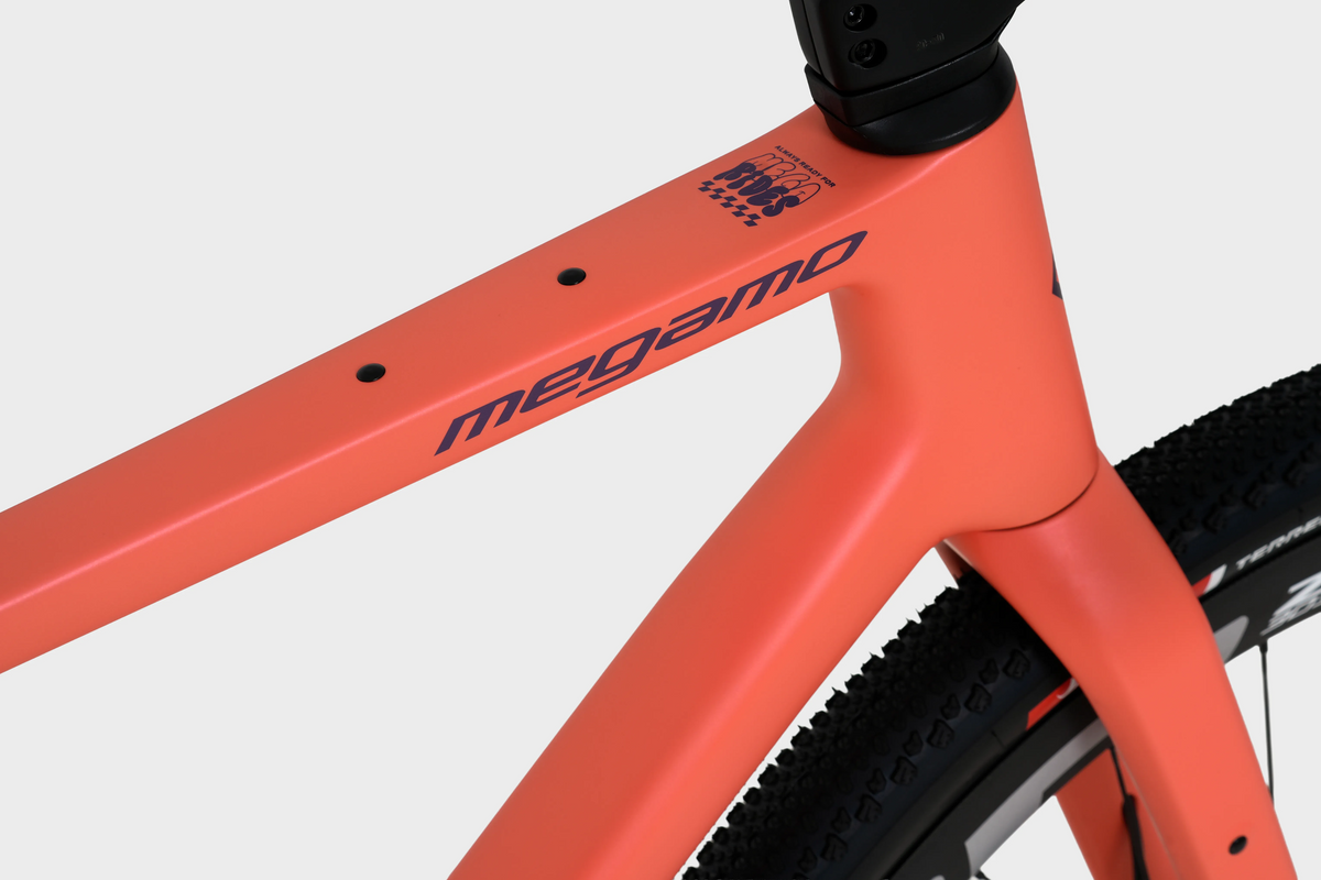MEGAMO West 05 | coral