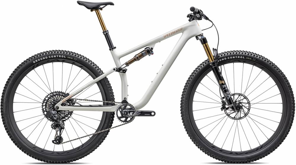 SPECIALIZED Epic Evo Pro | gloss birch/bronze pearl/pearl