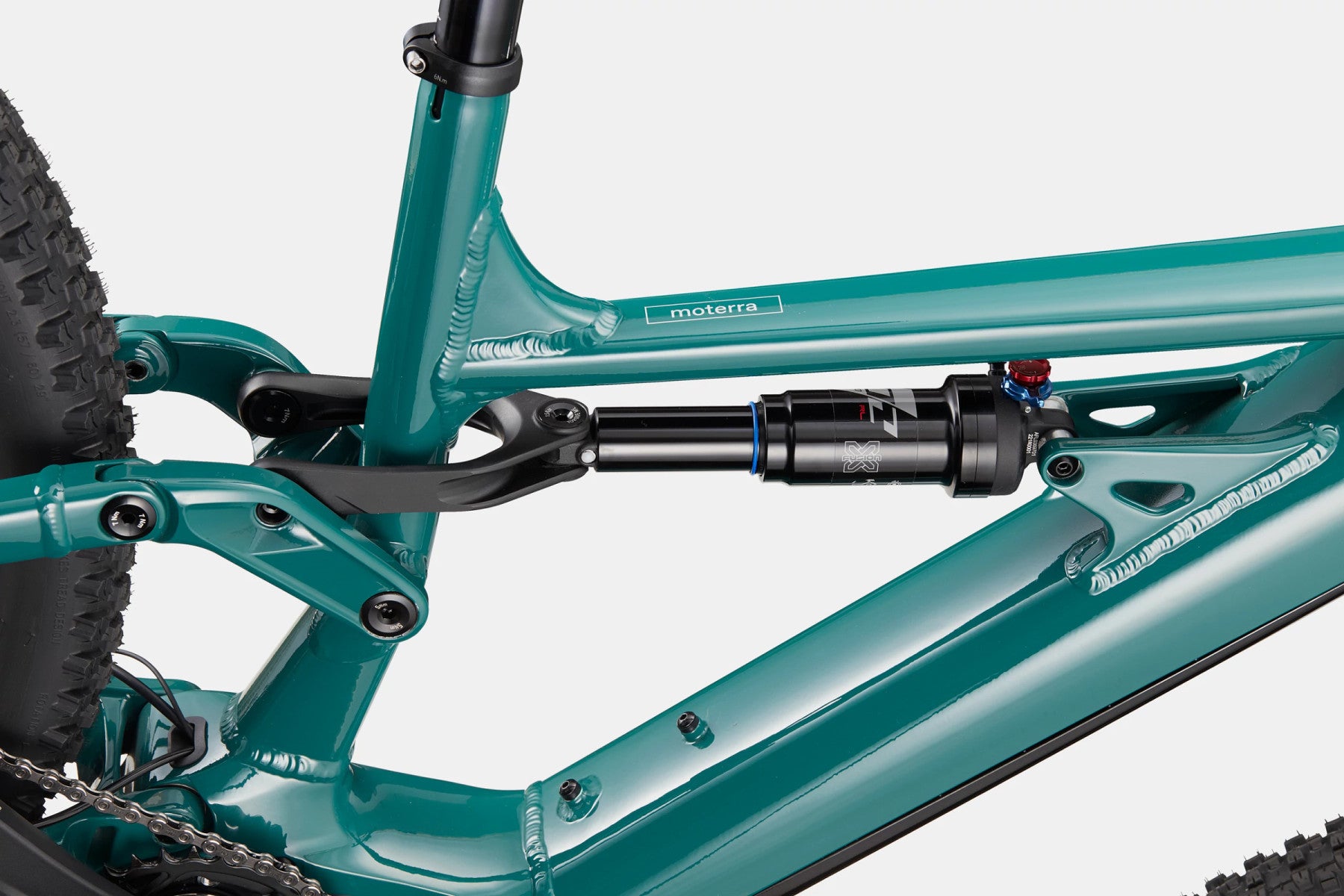 CANNONDALE Moterra Neo S3 | pine