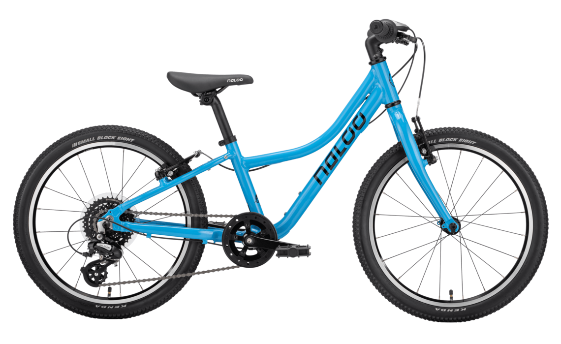 NALOO Chameleon MK2 20'' | turquoise