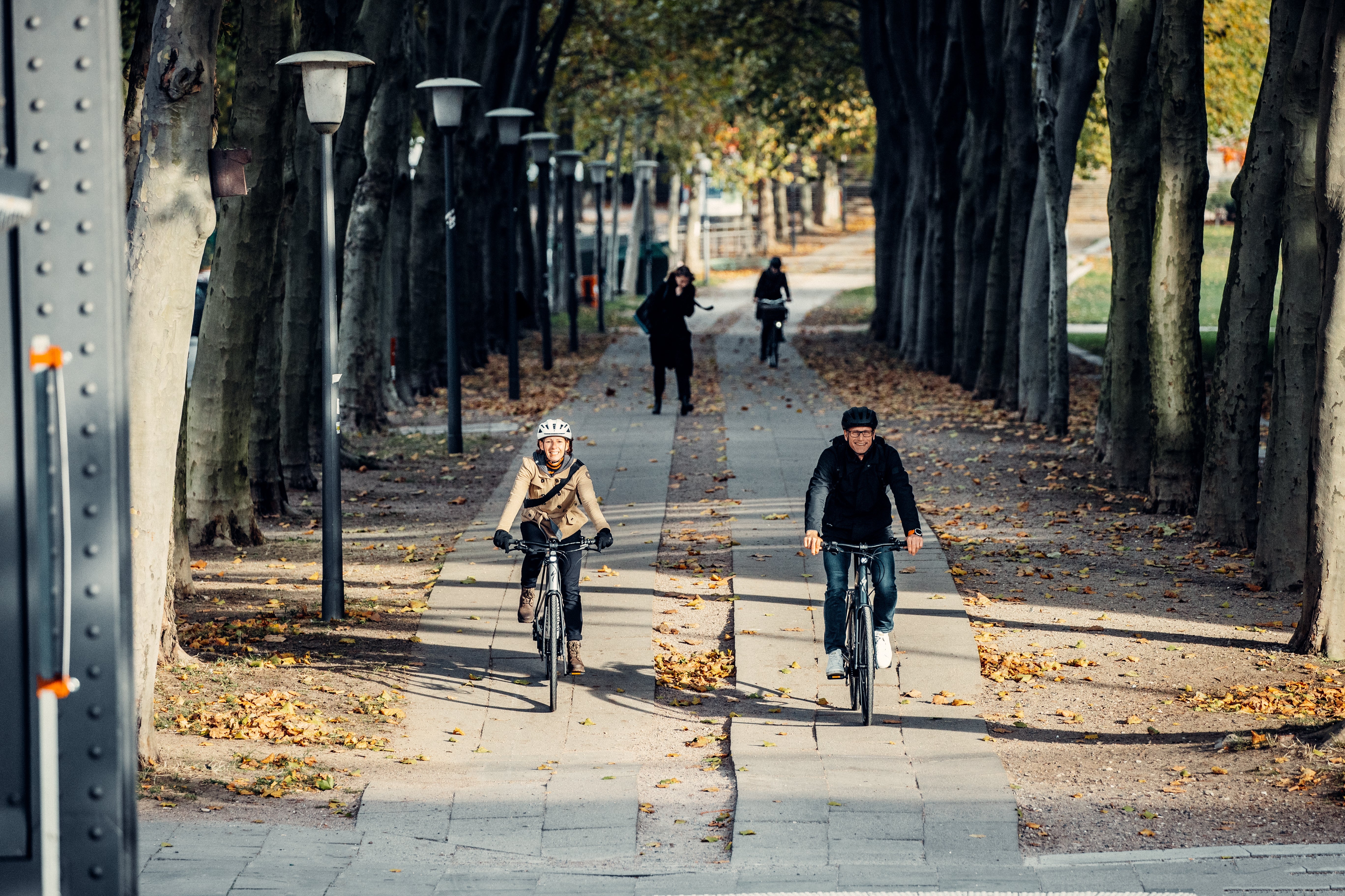 e-Trekkingbikes Sale