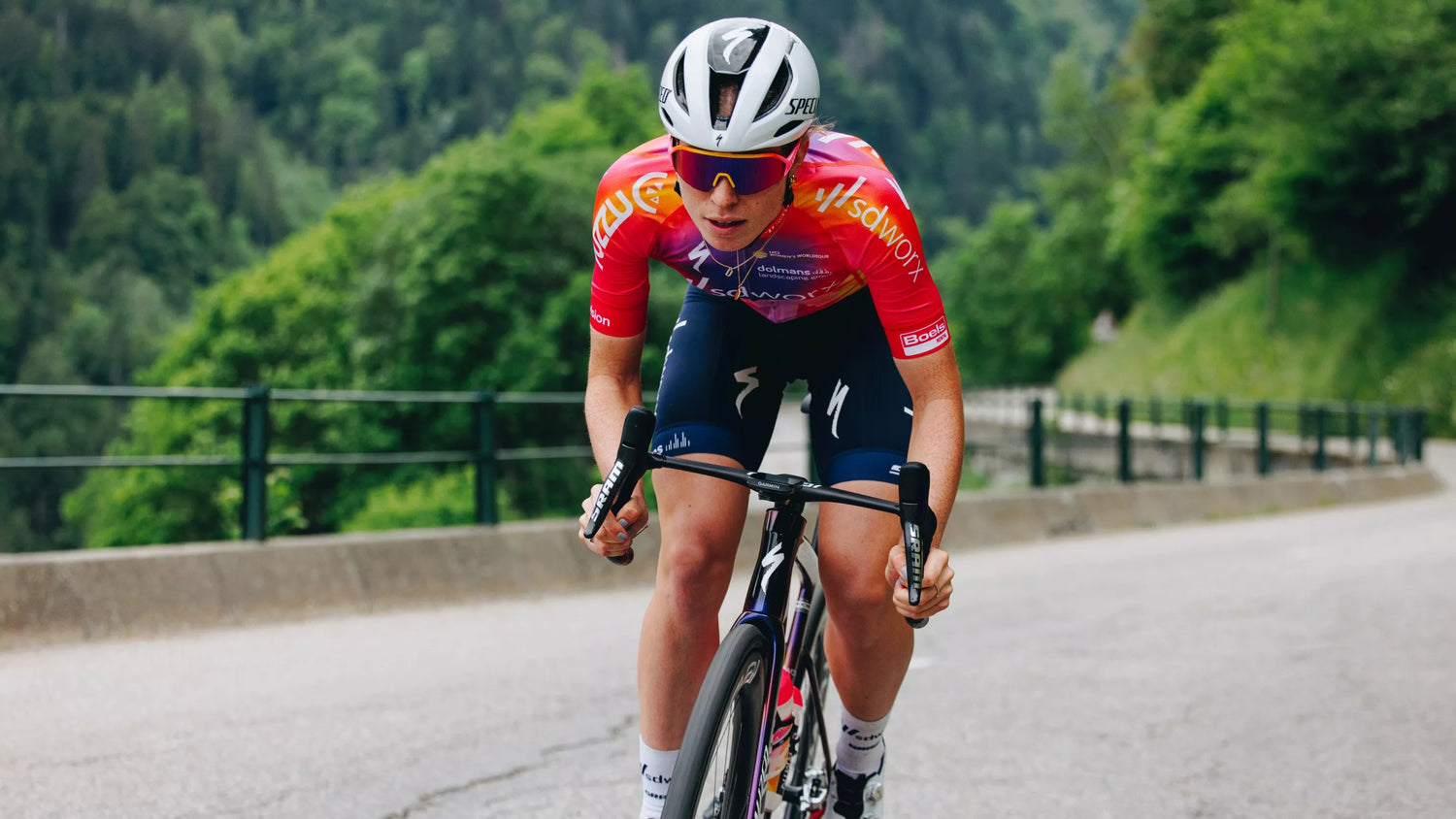 Roadbikes