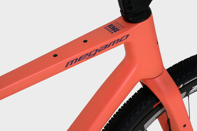 MEGAMO West 03 | coral