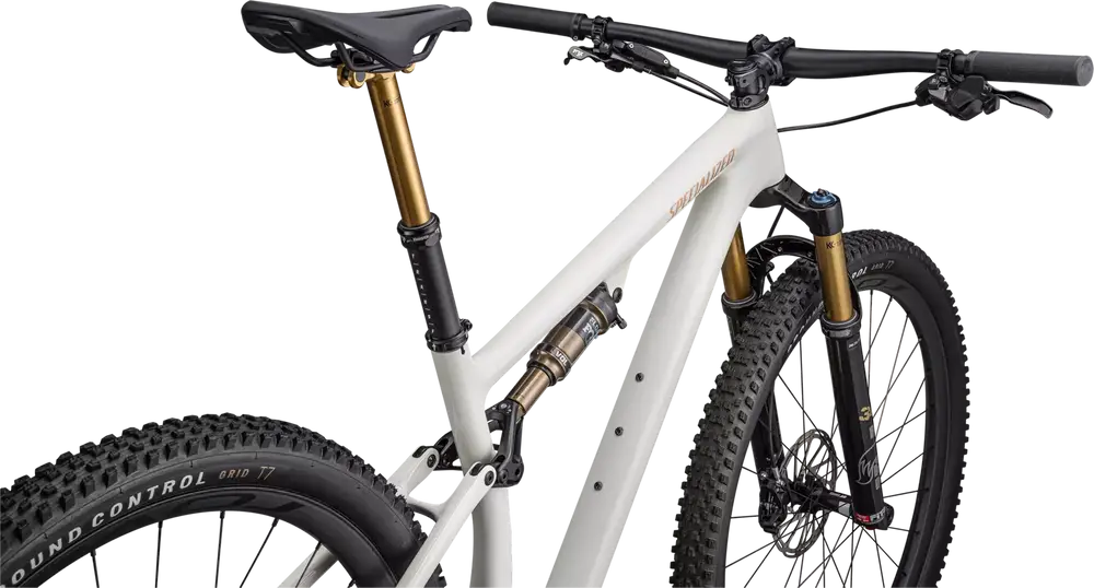 SPECIALIZED Epic Evo Pro | gloss birch/bronze pearl/pearl