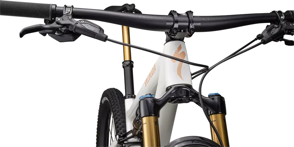 SPECIALIZED Epic Evo Pro | gloss birch/bronze pearl/pearl