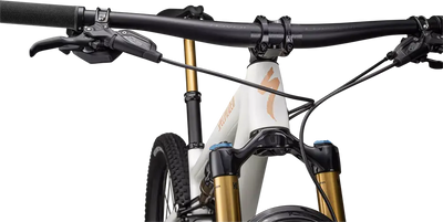 SPECIALIZED Epic Evo Pro | gloss birch/bronze pearl/pearl