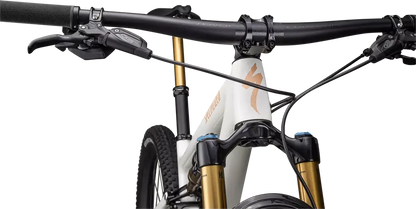 SPECIALIZED Epic Evo Pro | gloss birch/bronze pearl/pearl
