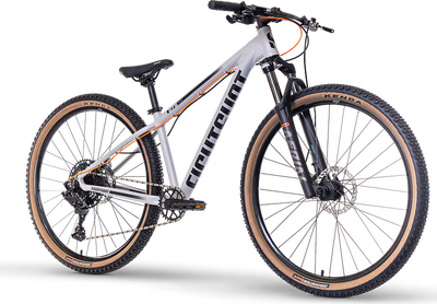 EIGHTSHOT X-Coady 275 Disc | grey