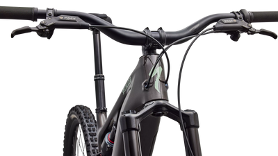 SPECIALIZED Turbo Levo 4 EVO Comp | gloss warm smoke