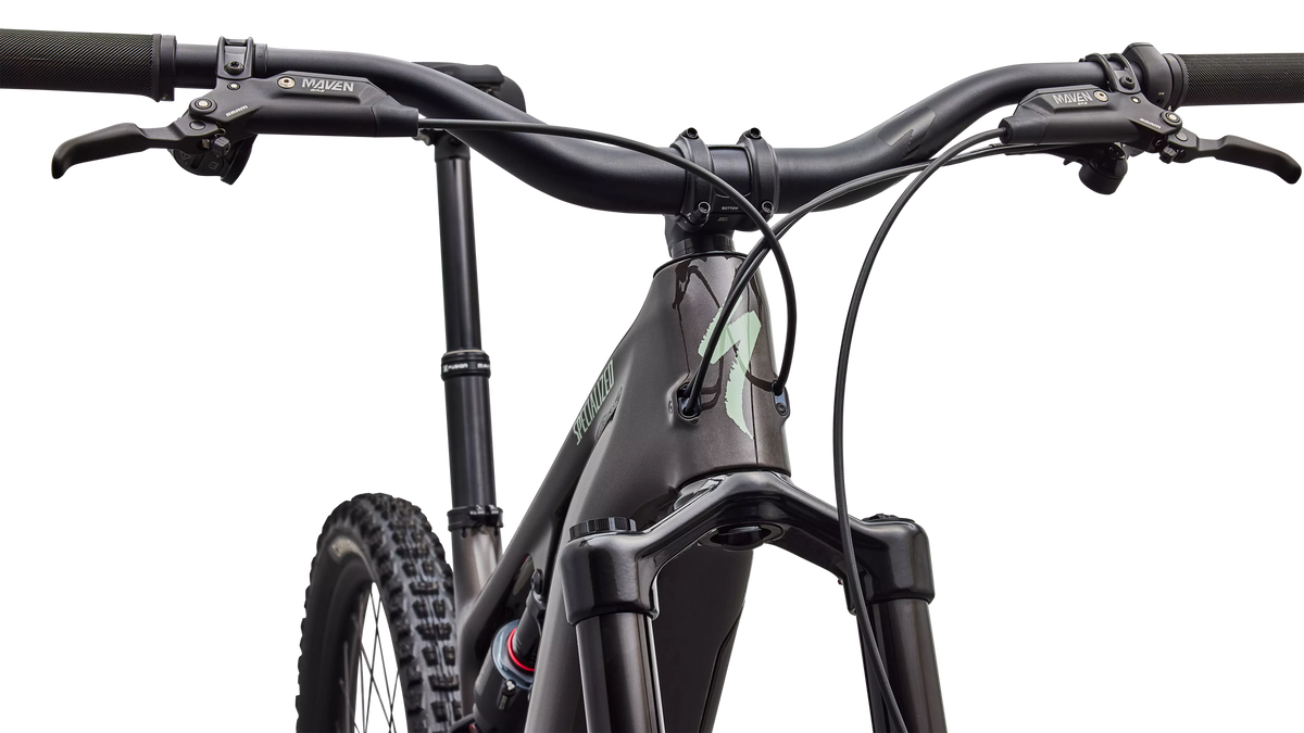 SPECIALIZED Turbo Levo 4 EVO Comp | gloss warm smoke