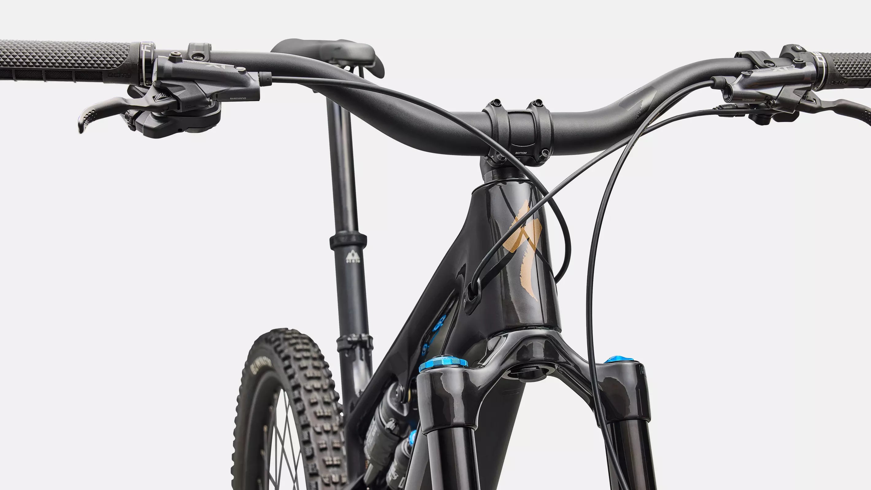 SPECIALIZED Turbo Levo SL 2 Expert Di2 | carbon / burnt gold