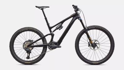 SPECIALIZED Turbo Levo SL 2 Expert Di2 | carbon / burnt gold