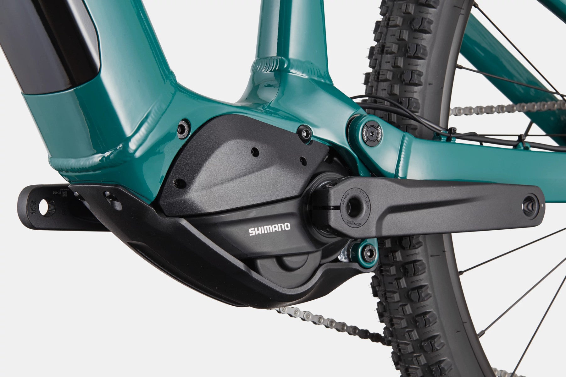 CANNONDALE Moterra Neo S3 | pine