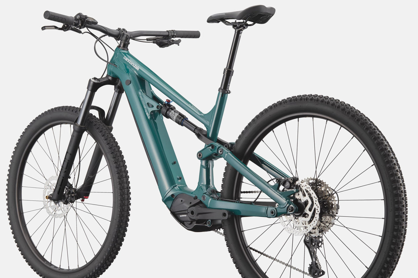 CANNONDALE Moterra Neo S3 | pine