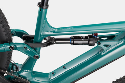 CANNONDALE Moterra Neo S3 | pine