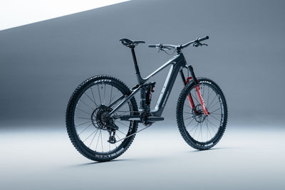 STEPPENWOLF Tundra 10.0 | titanium grey glossy/matte