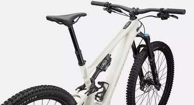 SPECIALIZED Turbo Levo SL 2 Comp Carbon | gloss birch/white mountains