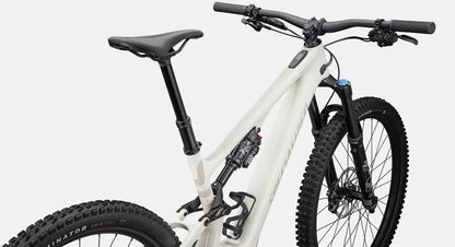 SPECIALIZED Turbo Levo SL 2 Comp Carbon | gloss birch/white mountains